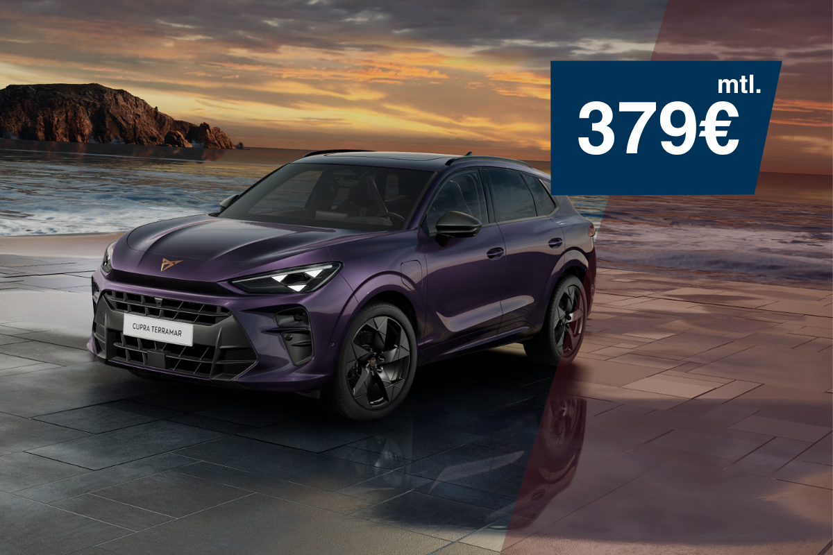 Terramar VZ 2.0 TSI 265 PS